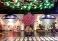 杭州丽音会豪华KTV大厅：尊享视听盛宴，尽在这里