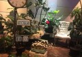 杭州萧山区瓜沥镇附近夜总会招聘包厢服务员,无中介费的