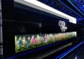 杭州临平区塘栖镇附近酒吧招聘商务礼仪,一个月工资多少